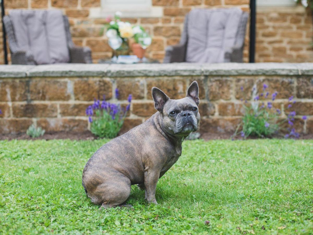 Climbing Rose Cottage - Dog Friendly - Peaceful Cotswold Cottage Adlestrop Esterno foto